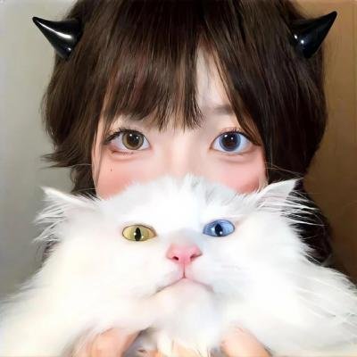 回声三号